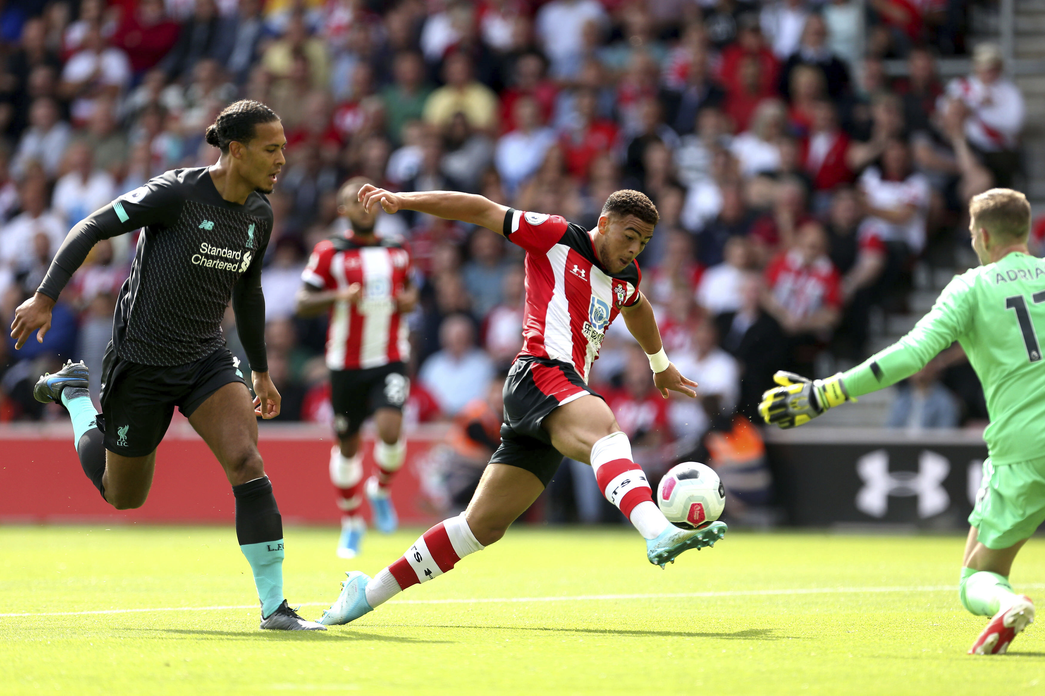 布莱顿队攻击手康复归来，备战周中比赛期待爆发